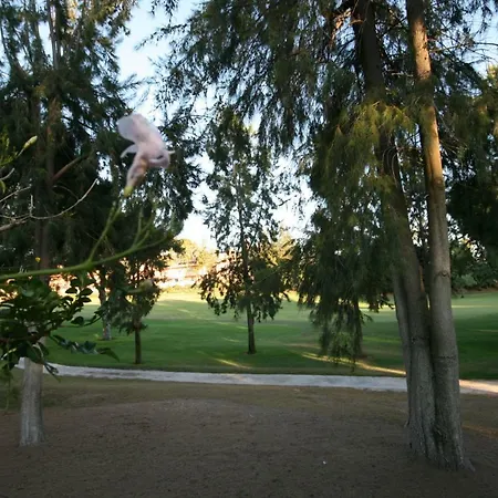 Greenlife Village